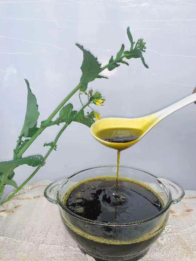 你会选压榨菜籽油吗？